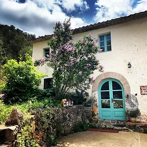 Villa Masía Con Encanto 1.722 Mas D’en Giralt, Sitges